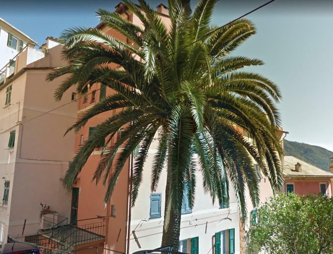 Embarcadero - & Gateway To Portofino